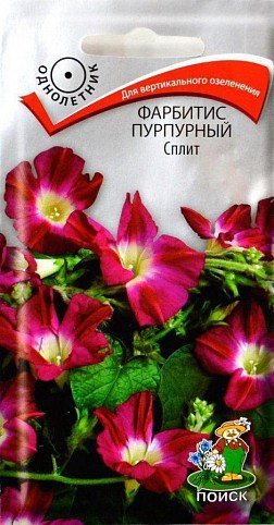 Іпомея "Фарбітіс пурпурний" спліт ТМ "Пошук" 0.1г