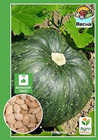 Тыква "Мускатная" (Большой пакет) ТМ "Весна" 8г