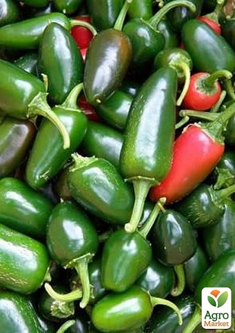 Перець гострий "1851 F1" ТМ "Lark Seeds" 500шт
