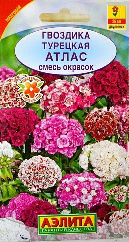 Хризантема турецкая "Атлас смесь" ТМ "Аэлита" 0.3г