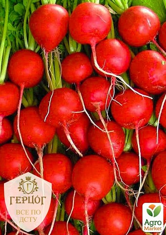 Редис "Герцог" "Королева рынка" ТМ "Весна" 7г