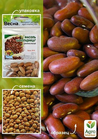 Фасоль "Шоколадница" (Зипер) ТМ "Весна" 5г