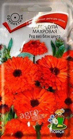 Календула махровая "Ред виз блек центр" ТМ "Поиск" 0.4г