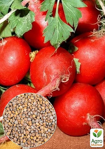 На вагу Редис "Жара" ТМ "Весна" ціна за 10г