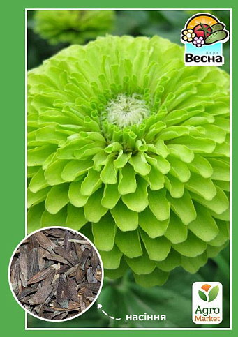 Цинния "Зависть" ТМ "Весна" 0.4г