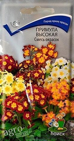Примула висока "Суміш забарвлень" ТМ "Пошук" 0.01г