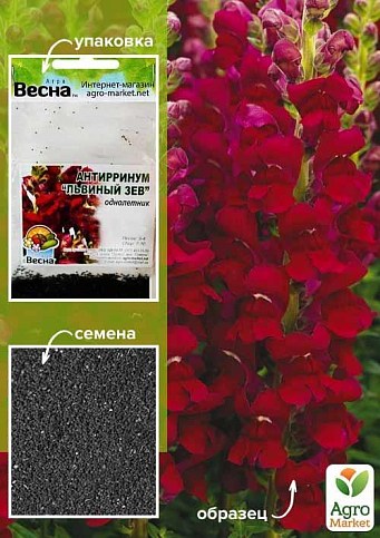 Антирринум "Львиный зев красный" (Зипер) ТМ "Весна" 1г