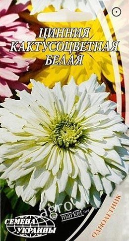 Цинния "Кактусоцветная белая" ТМ "Семена Украины" 0.3г