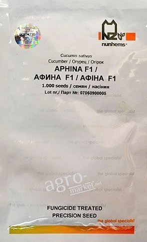 Огірок "Афіна F1" ТМ "Nunhems" 1000шт