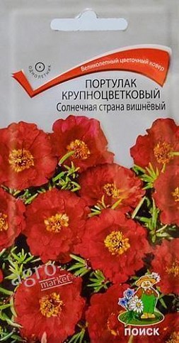 Портулак "Сонячна країна вишневий" ТМ "Пошук" 0.1г