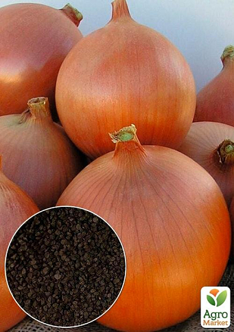 На развес Лук "Одиновец" ТМ "Весна" цена за 5г