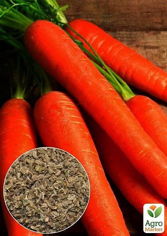На развес Морковь "Регульская" ТМ "Весна" цена за 10г