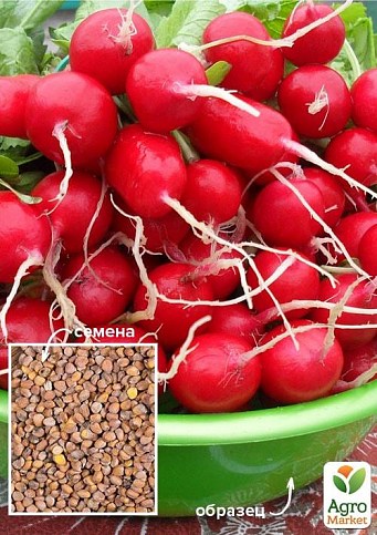 Редис "Всі сезони" ТМ "Весна" 100г