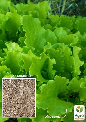 На развес Салат "Гейзер" ТМ "Весна" цена за 8г