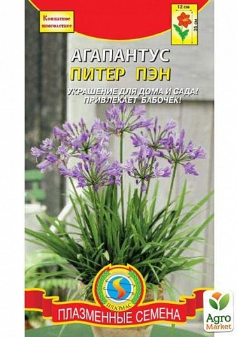 Агапантус "Пітер Пен" ТМ "Плазмові насіння" 4шт