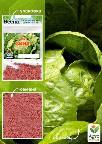 Салат "Зина" (Zina) для круглогодичного использования (Зипер) ТМ "Весна" 1,5г