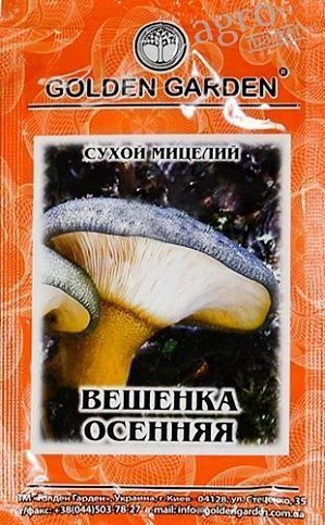Сухий міцелій "Глива Осіння" ТМ "Golden Garden" 10г