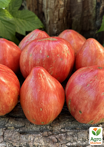 Томат "Long Tall Sally" ТМ "Vesna Select" 20шт - фото 3