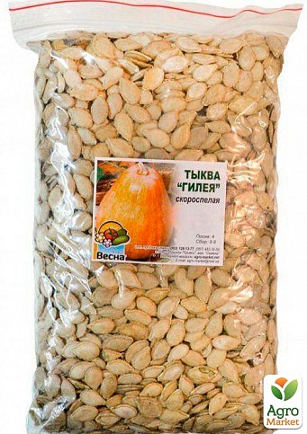 Тыква "Гилея" ТМ "Весна" 500г - фото 2