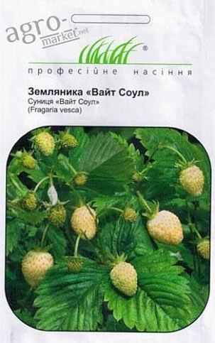 Земляника "Вайт Соул" ТМ "Hem Zaden" 0.1г