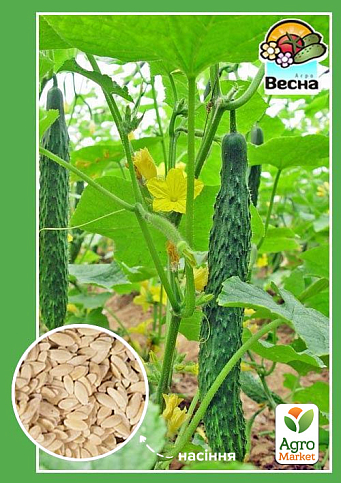 Огірок "Китайське диво" ТМ "Весна" 0.25г