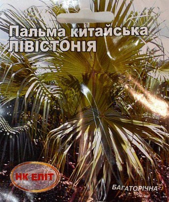 Пальма китайская "Левистония" ТМ "НК ЭЛИТ" 3шт