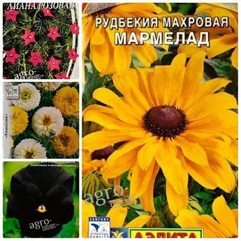 Комплект семян цветов "Безумие" 5уп