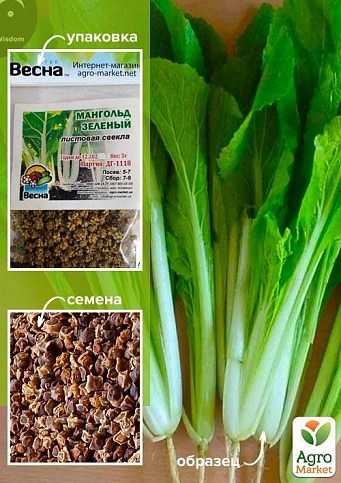 Мангольд зелёный (Зипер) ТМ "Весна" 3г