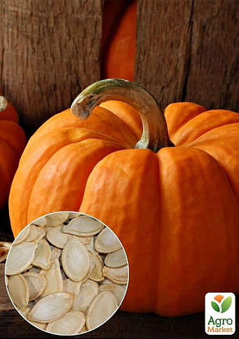 На развес Тыква "Золотой центнер" ТМ "Весна" цена за 10г