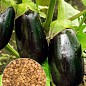 На развес Баклажан "Ультраранний" ТМ "Весна" цена за 2г