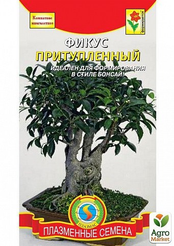 Фикус притуплённый ТМ "Плазменные семена" 3шт