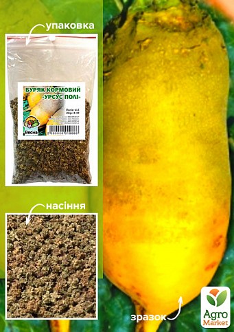 Свекла Кормовая "Урсус" ТМ "Весна" 100г