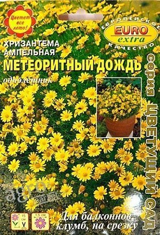 Хризантема ампельная "Метеоритный дождь" ТМ "АЭЛИТА" 20шт