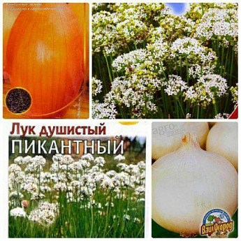 Комплект семян лука "Среднеспелого" 10уп