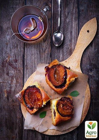 Слива "Блэк Джем" - фото 2