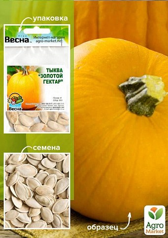 Гарбуз "Золотий Гектар" (Зипер) ТМ "Весна" 3г