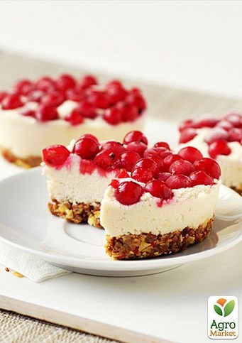 Эксклюзив! Смородина ярко-красная "Звезда" (Star) (премиальный морозостойкий сорт) - фото 2