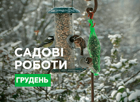 Садово-городні роботи в грудні - корисні статті про садівництво від Agro-Market