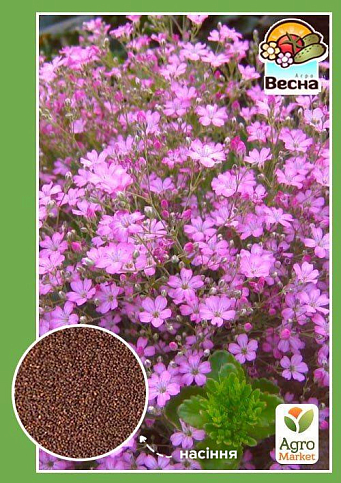 Гіпсофіла рожева ТМ "Весна" 0.4г