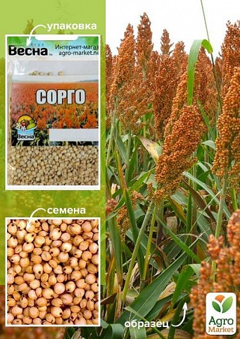 Сорго (Зипер) ТМ "Весна" 15г