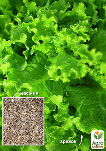 На развес Салат "Лакомка" ТМ "Весна" цена за 8г