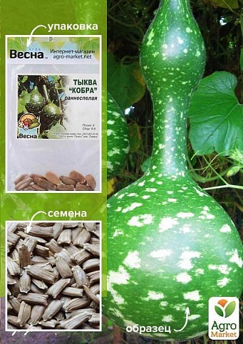 Гарбуз "Кобра" (Зипер) ТМ "Весна" 7шт
