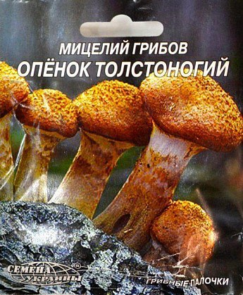 Опёнок "Толстоногий" ТМ "Семена Украины" 10шт