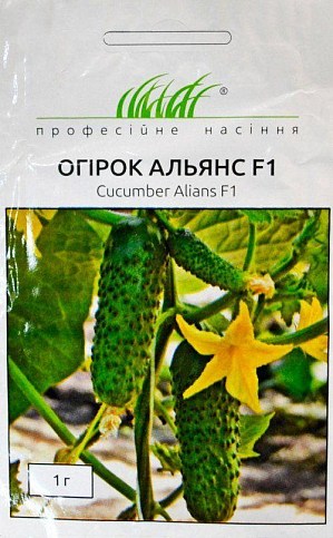 Огірок "Альянс F1" ТМ "Hem Zaden" 1г