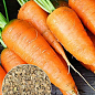 На развес Морковь "Артек" ТМ "Весна" цена за 10г