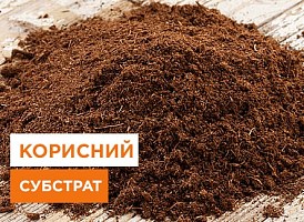 Що таке субстрат? - корисні статті про садівництво від Agro-Market