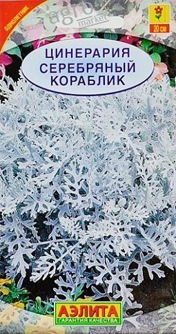 Цинерария "Серебряный кораблик" ТМ "АЭЛИТА" 0.1г