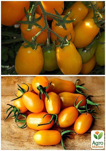 На вагу Томат "Оберіг" ТМ "Весна" ціна за 1г - фото 4