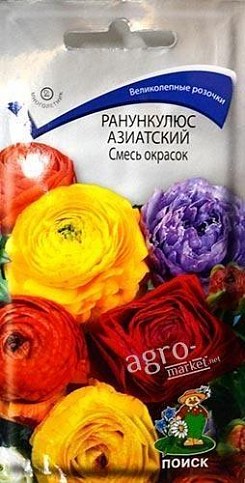 Ранункулюс азіатський "Суміш забарвлень" ТМ "Пошук" 5шт
