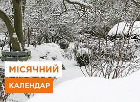 Місячний календар на лютий для садівника та городника - корисні статті про садівництво від Agro-Market